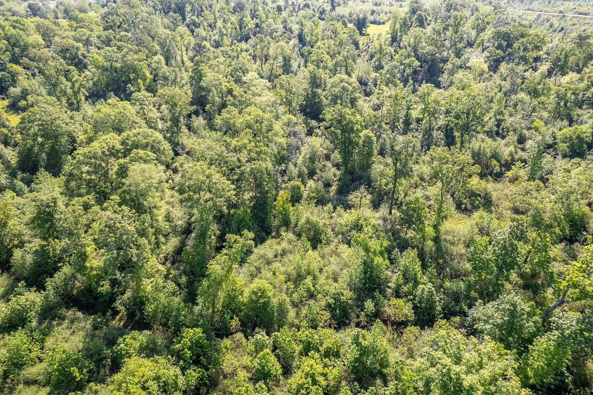 97.5 acres in Cherokee County - photo 20