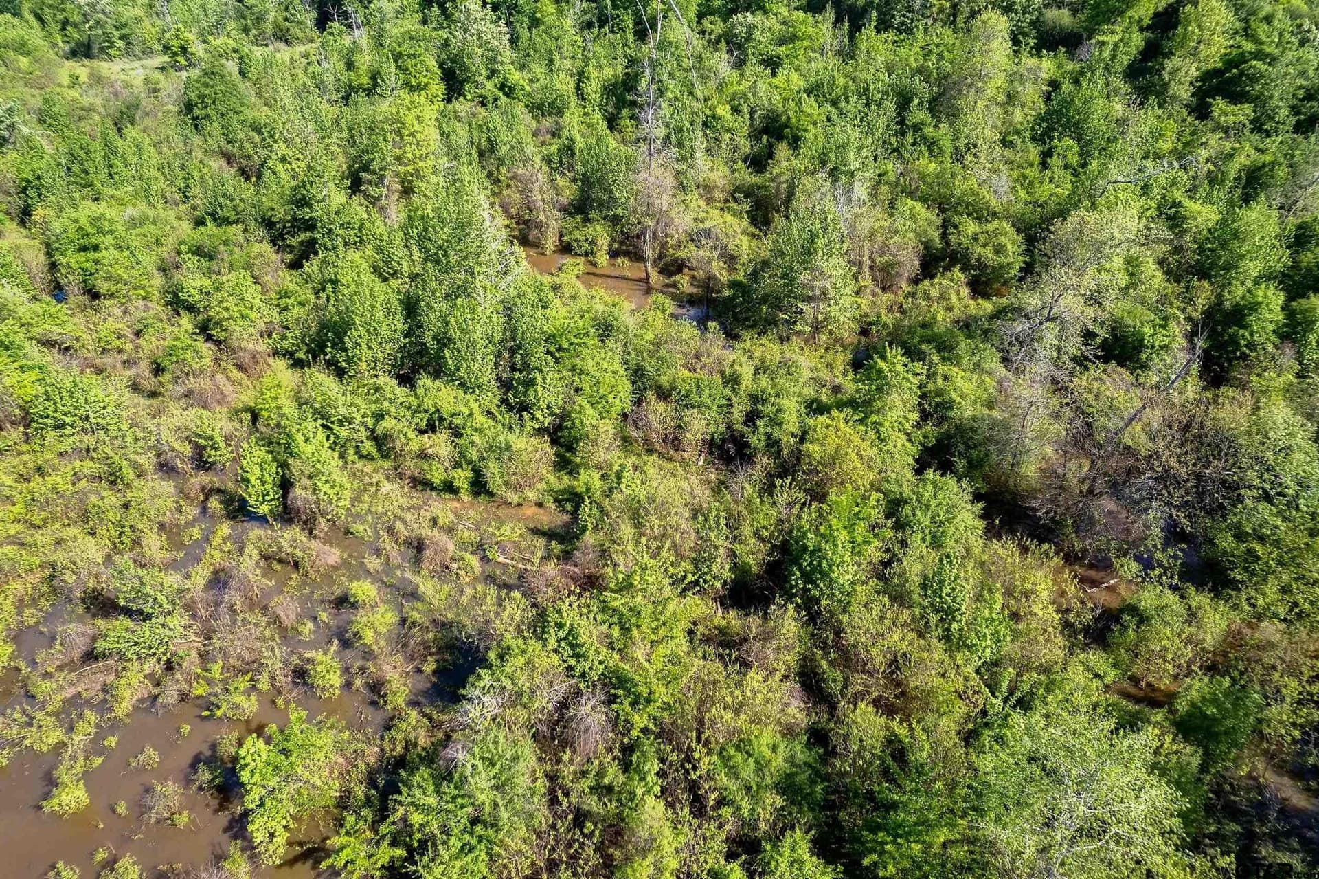 97.5 acres in Cherokee County - photo 29