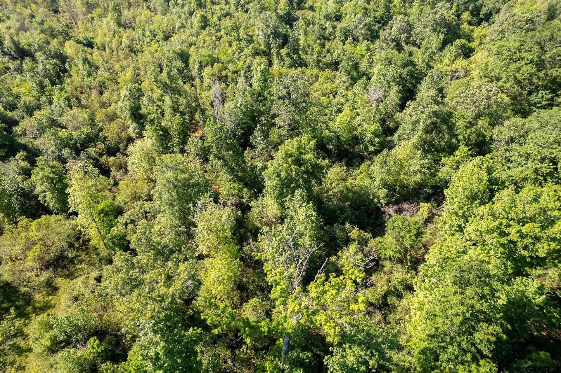 97.5 acres in Cherokee County - photo 21