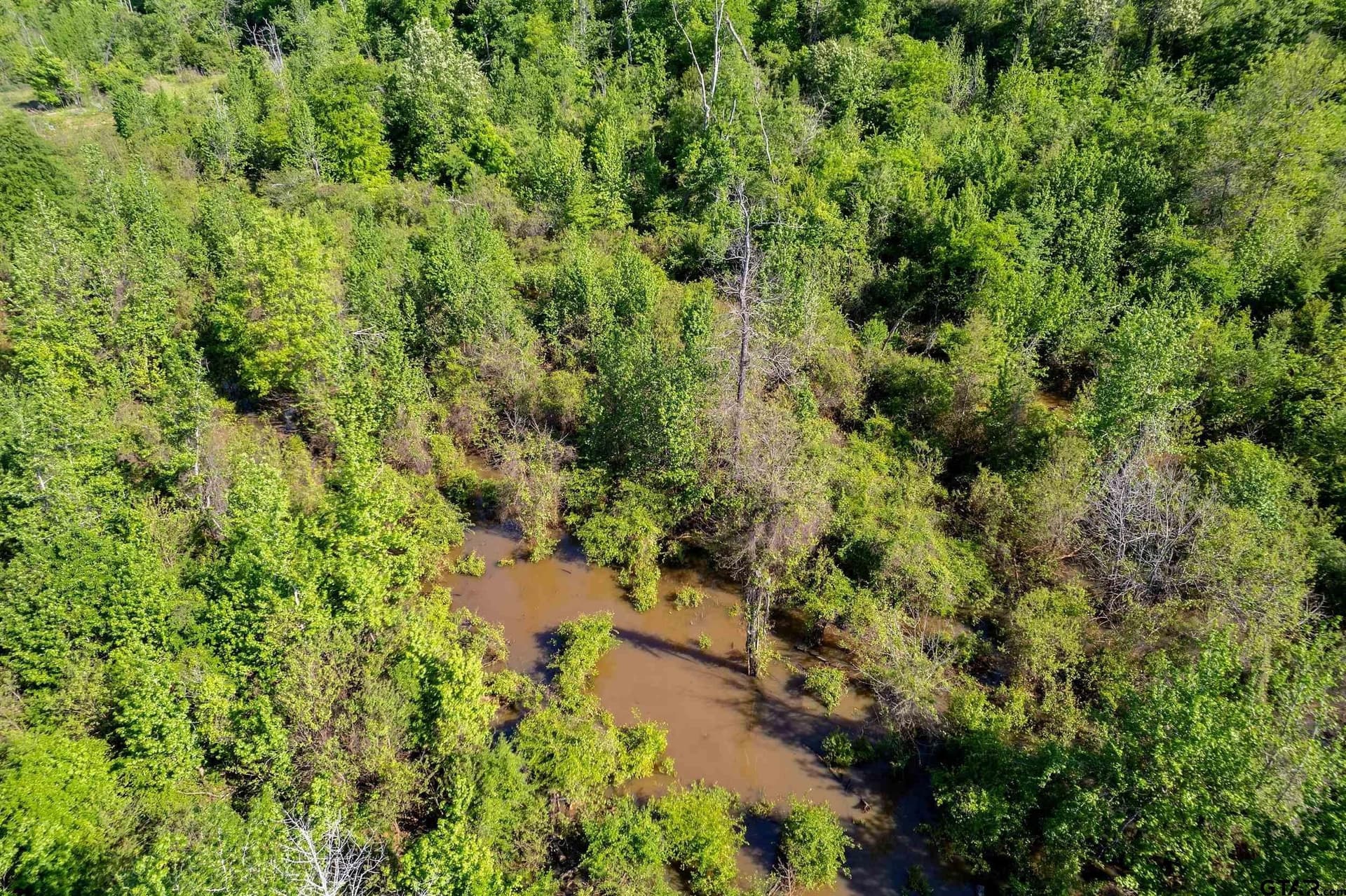 97.5 acres in Cherokee County - photo 30
