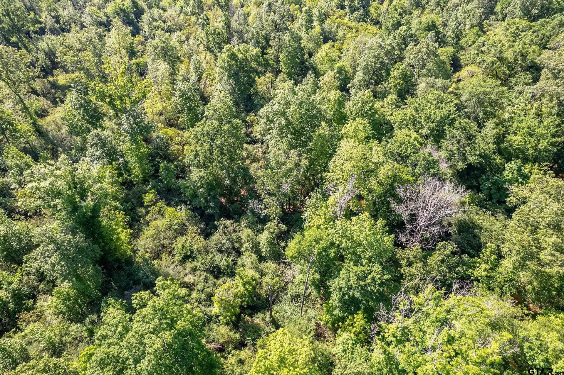97.5 acres in Cherokee County - photo 18