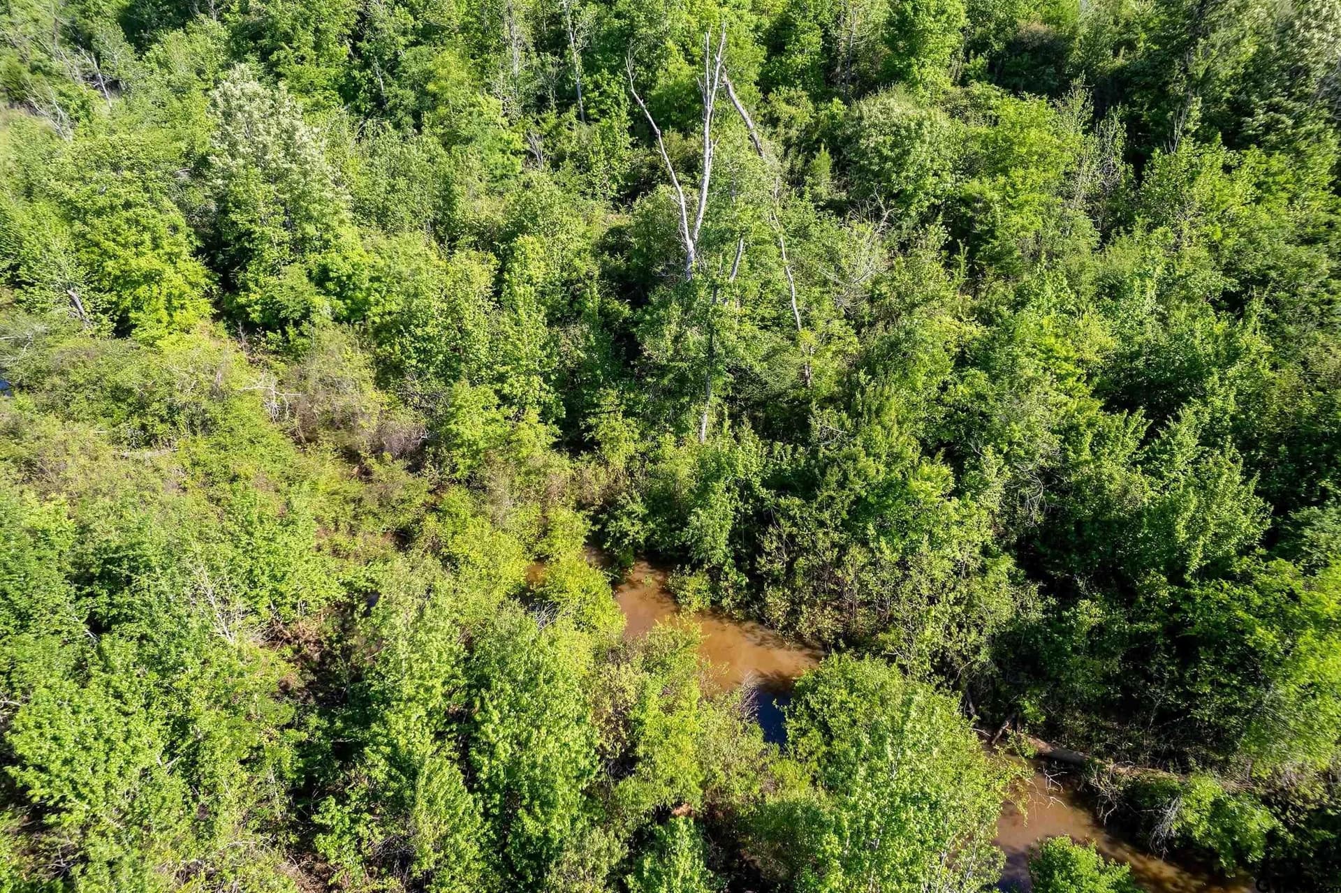 97.5 acres in Cherokee County - photo 31