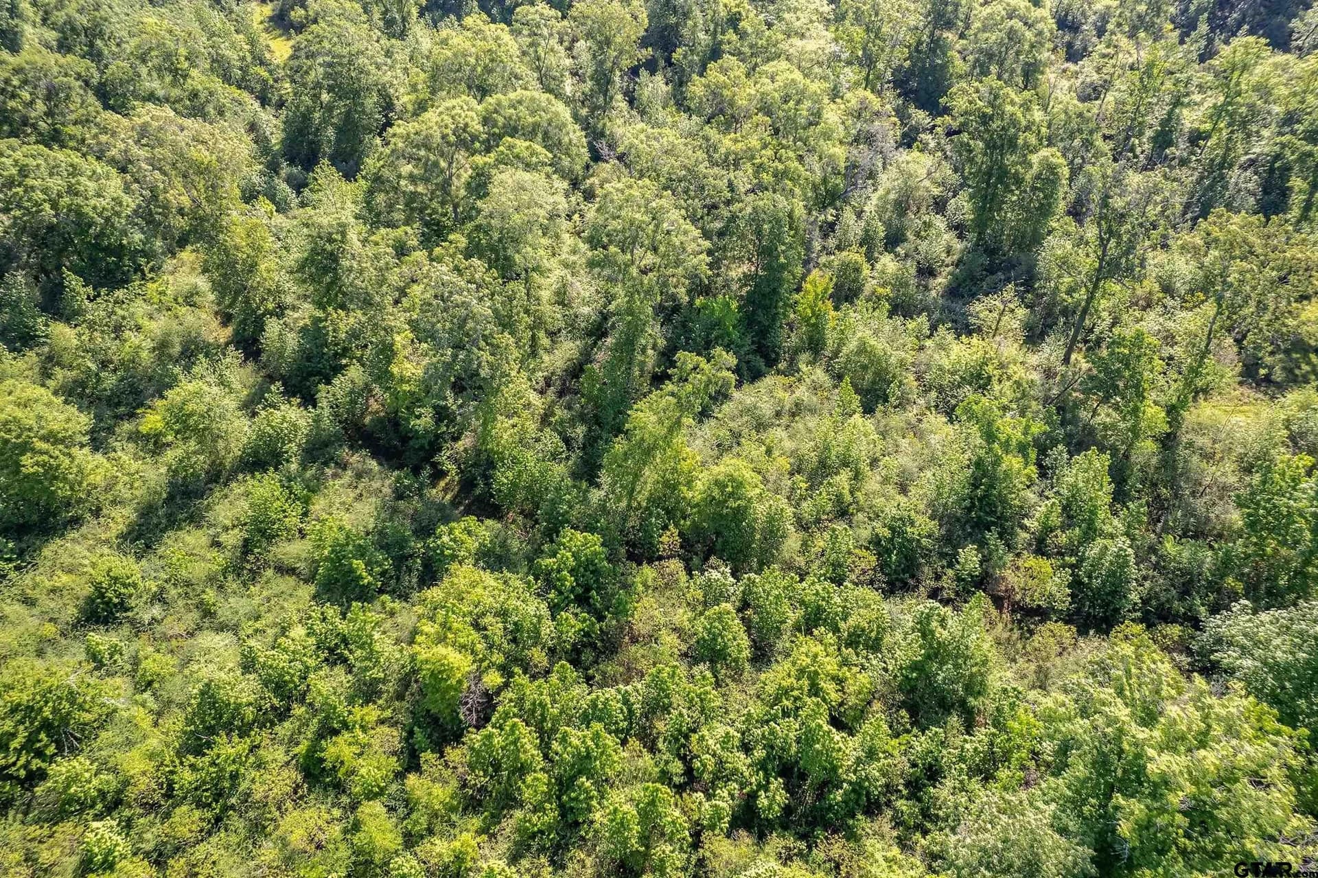 97.5 acres in Cherokee County - photo 19