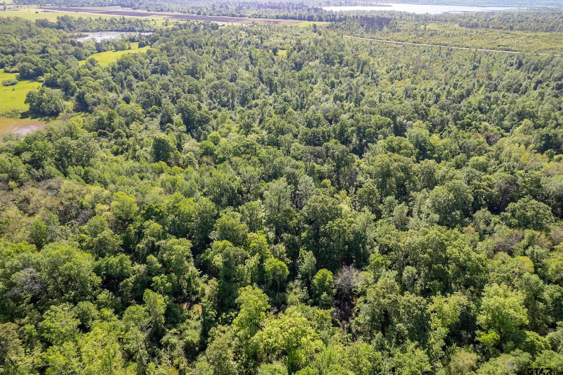 97.5 acres in Cherokee County - photo 15