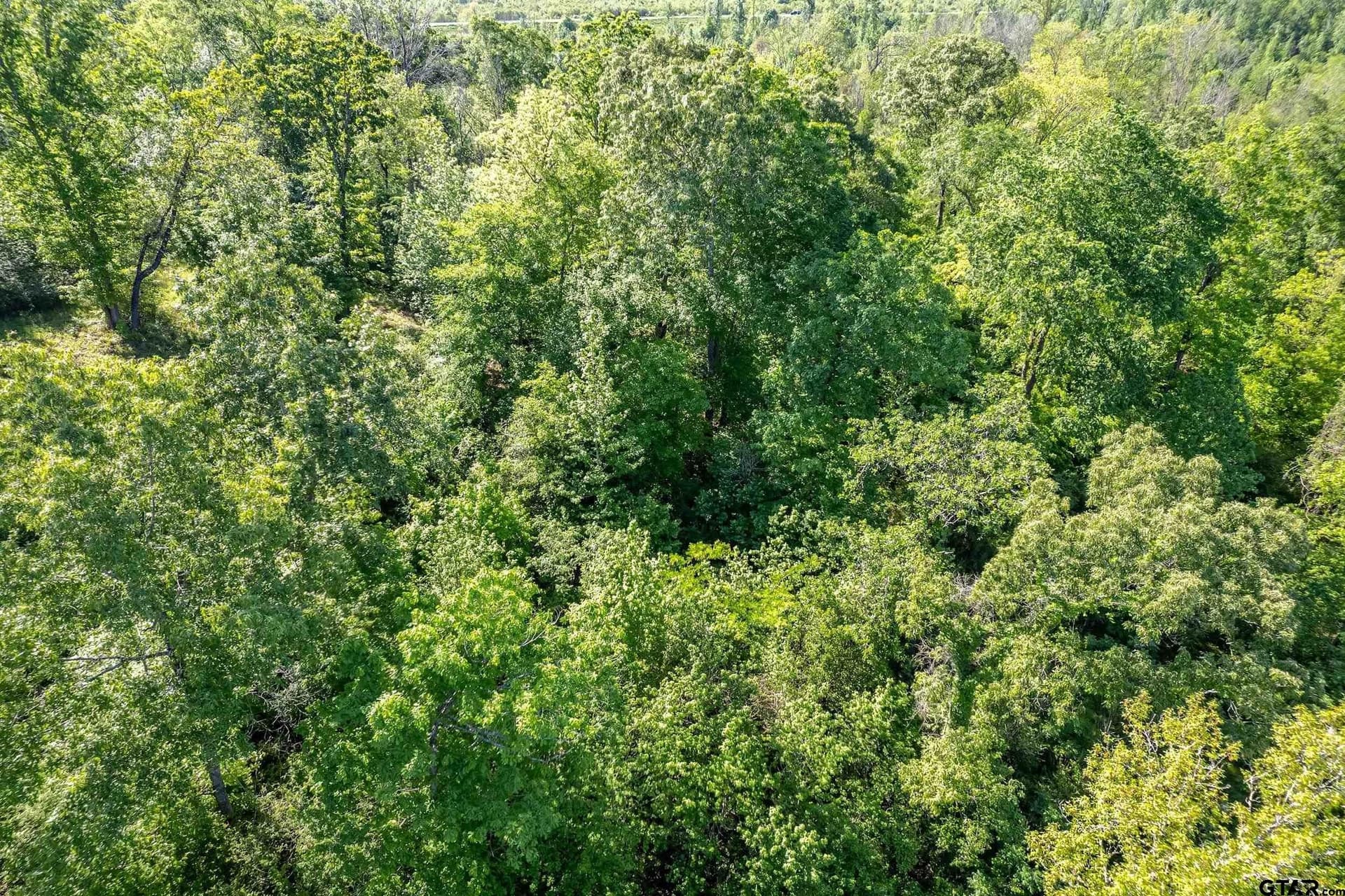 97.5 acres in Cherokee County - photo 23