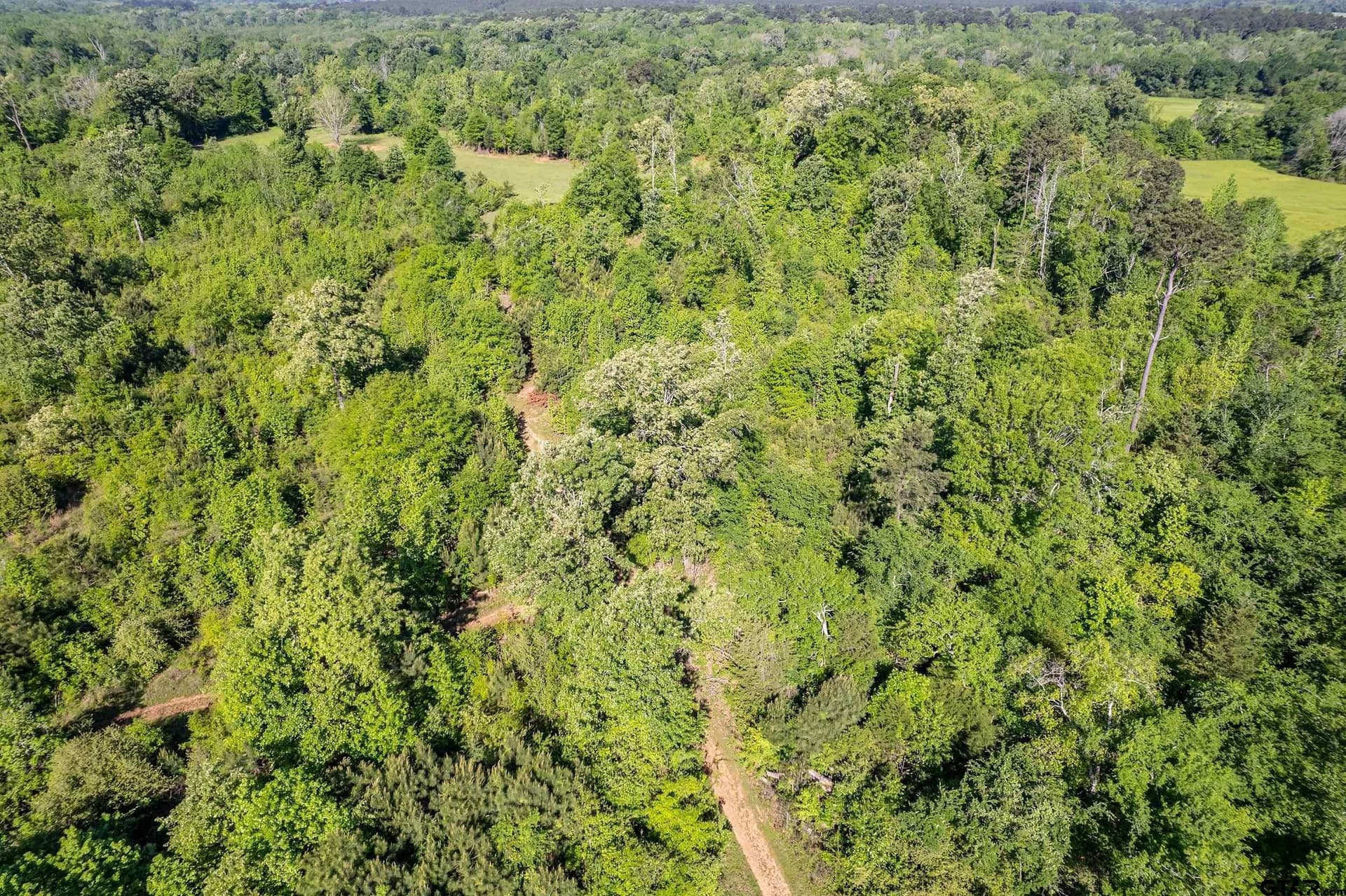 97.5 acres in Cherokee County - photo 12
