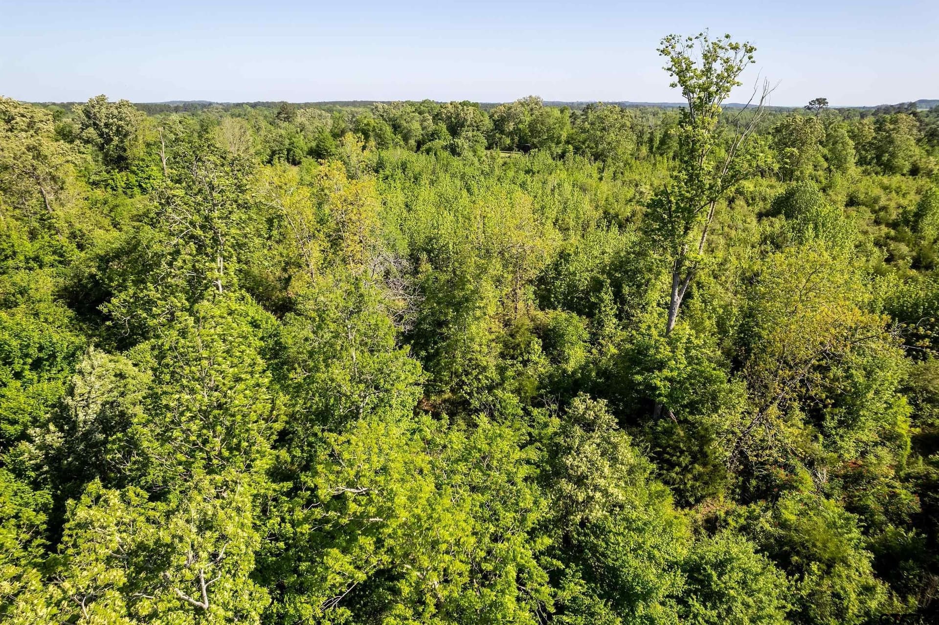 97.5 acres in Cherokee County - photo 32