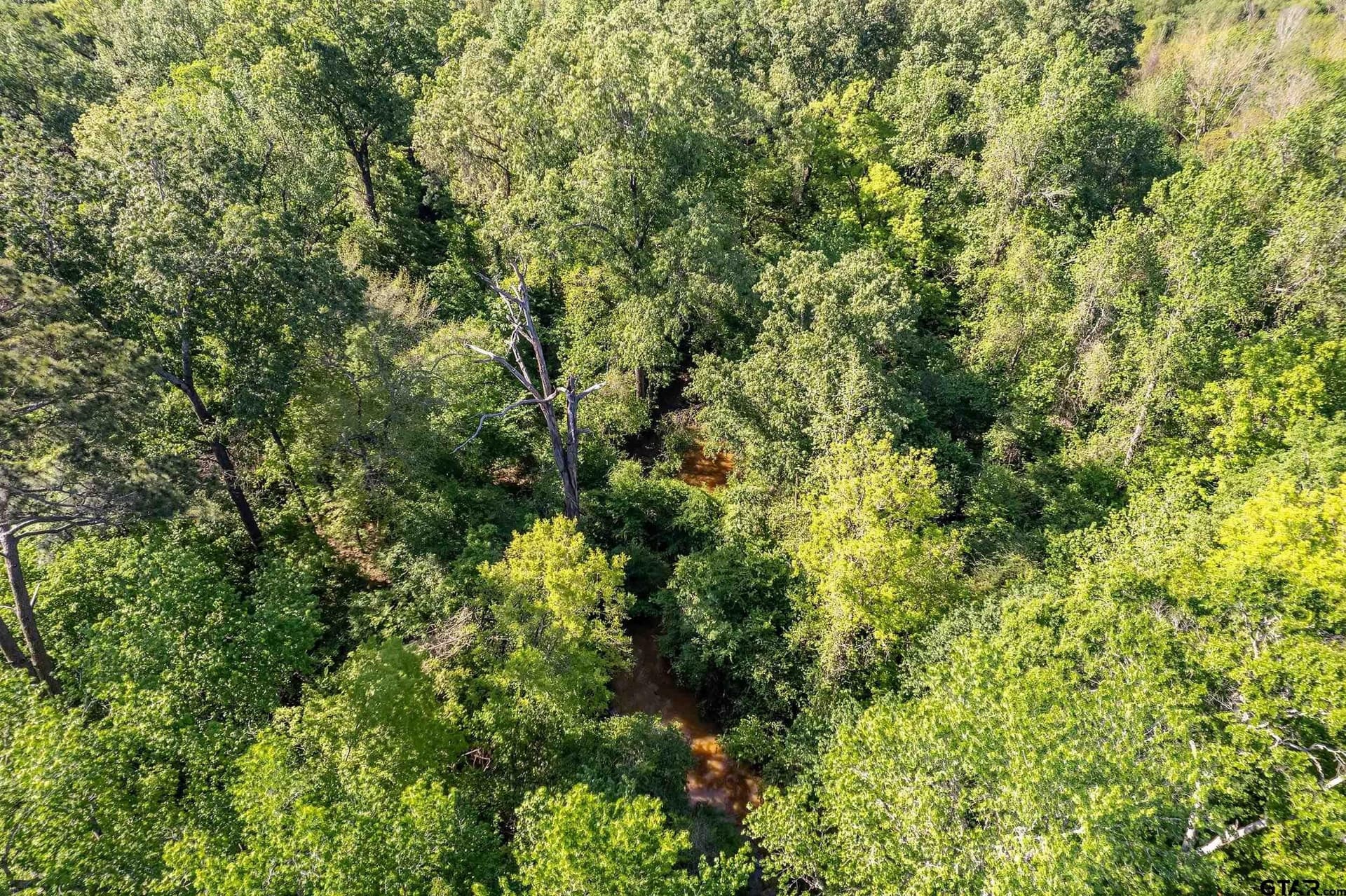 97.5 acres in Cherokee County - photo 17
