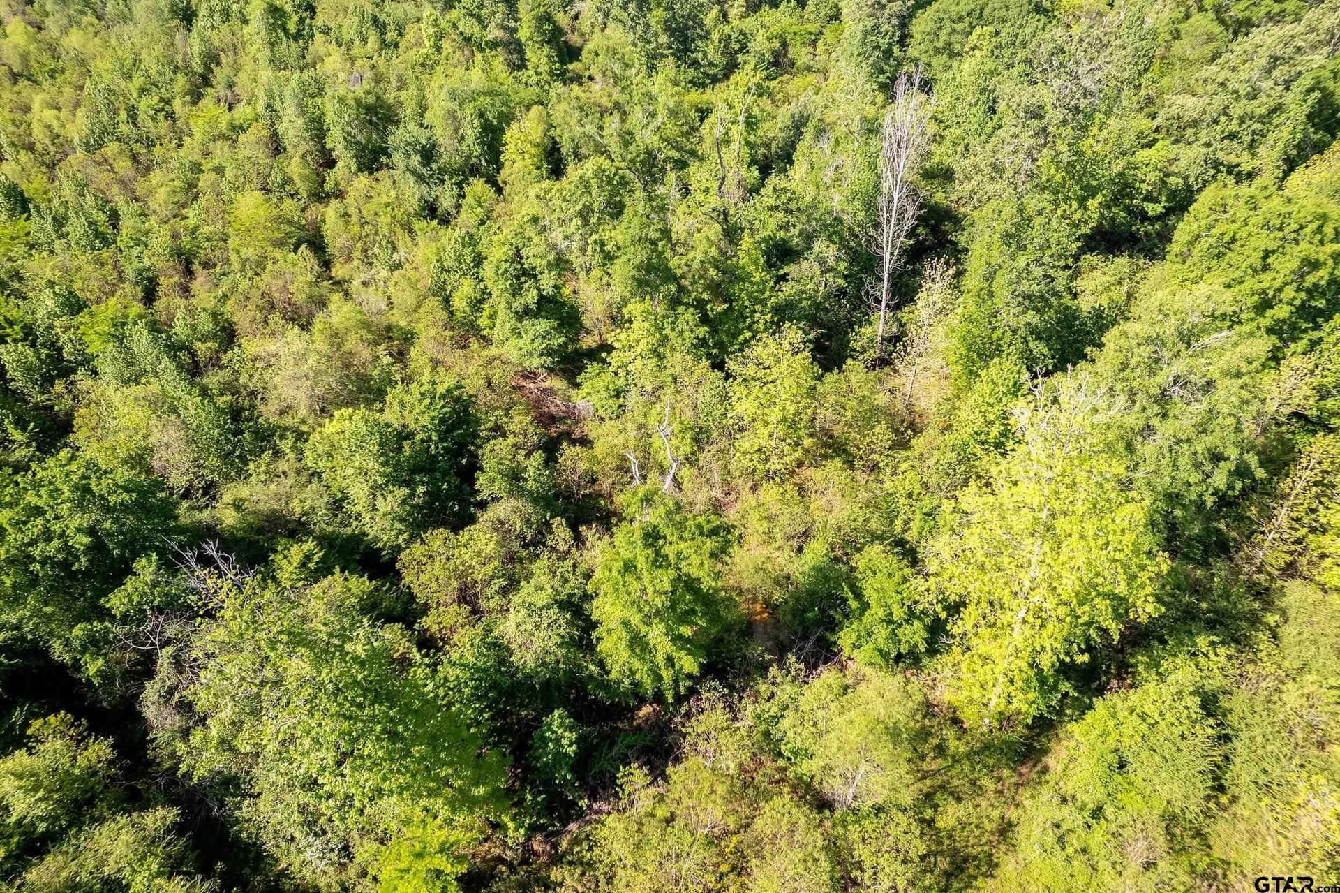 97.5 acres in Cherokee County - photo 22