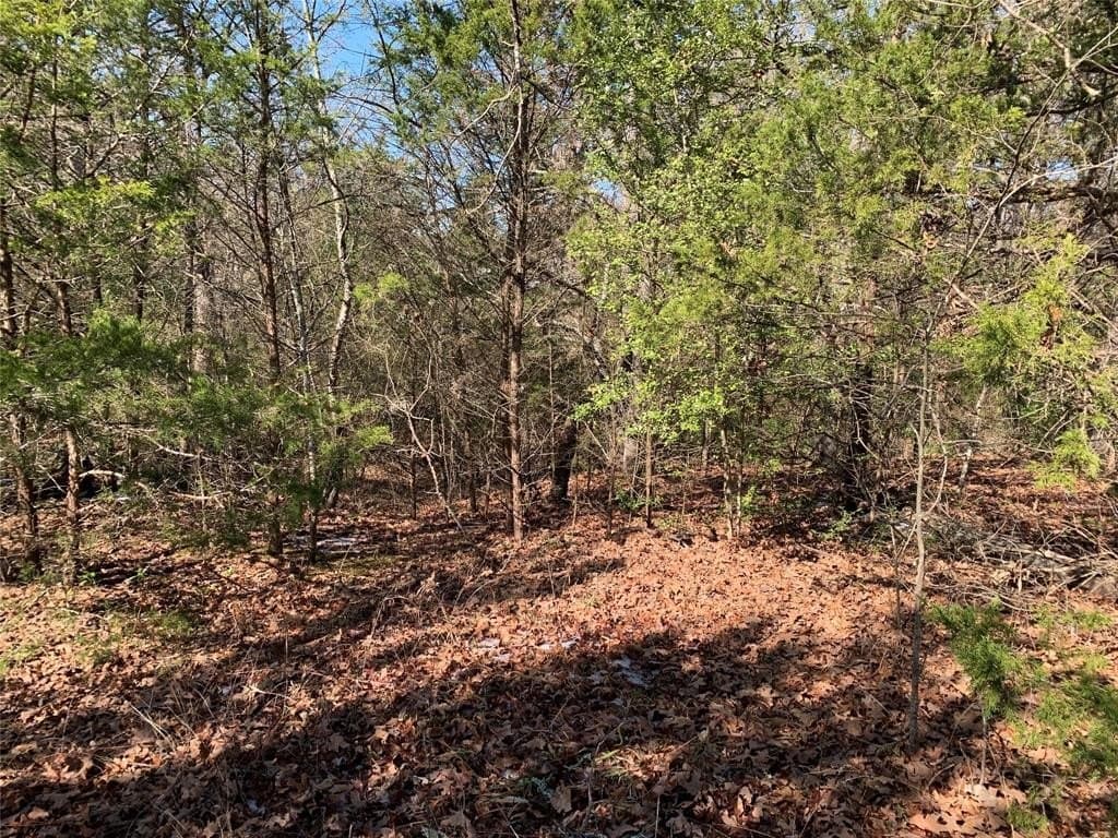 0.8 acres in Henderson County - photo 9