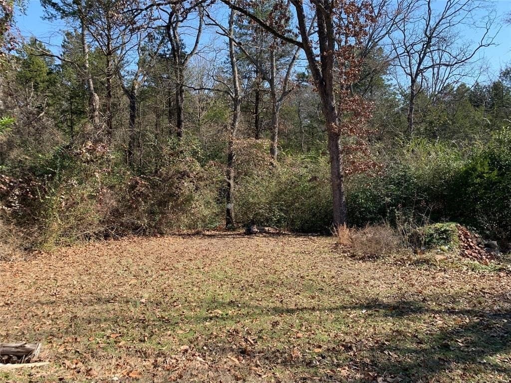 0.8 acres in Henderson County - photo 4