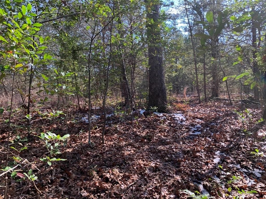 0.8 acres in Henderson County - photo 7