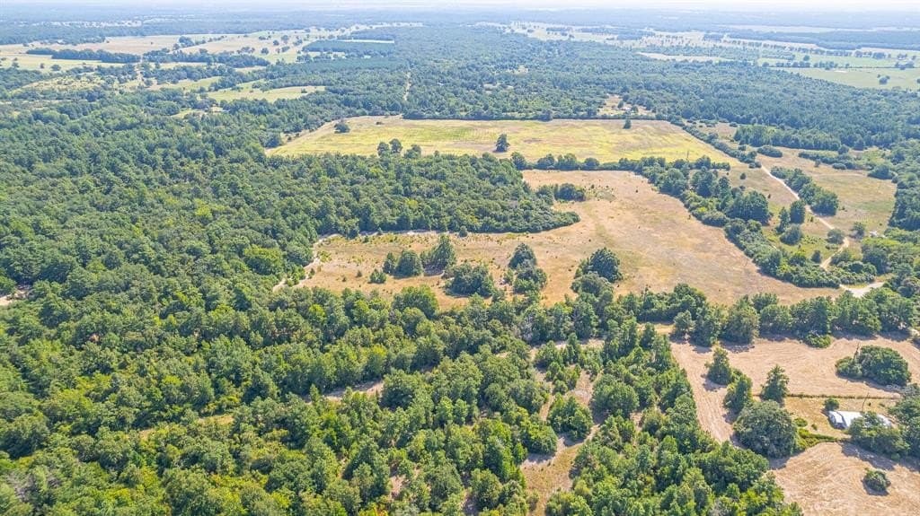 26.22 acres in Leon County - photo 7
