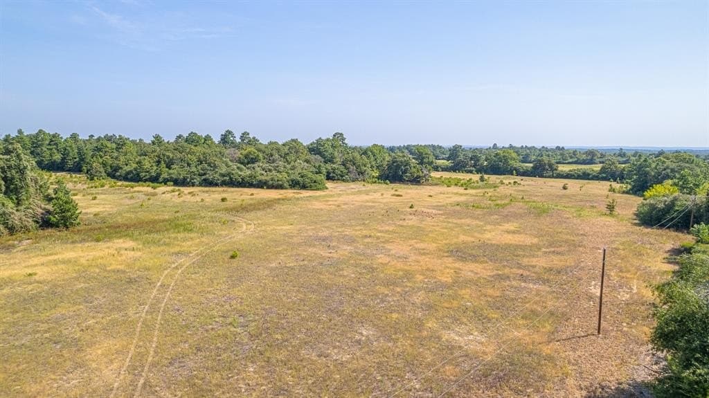 26.22 acres in Leon County - photo 14