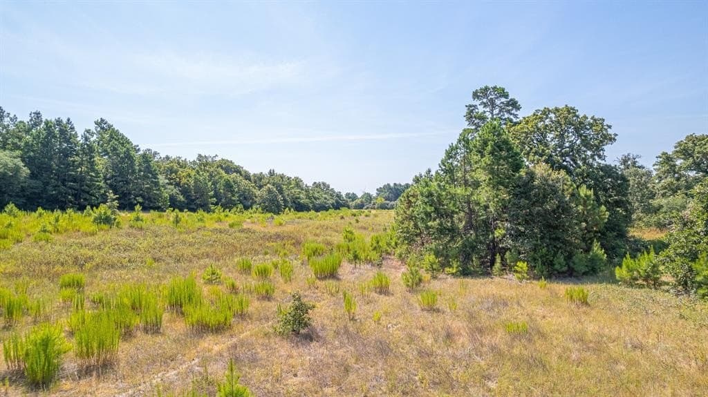 26.22 acres in Leon County - photo 11