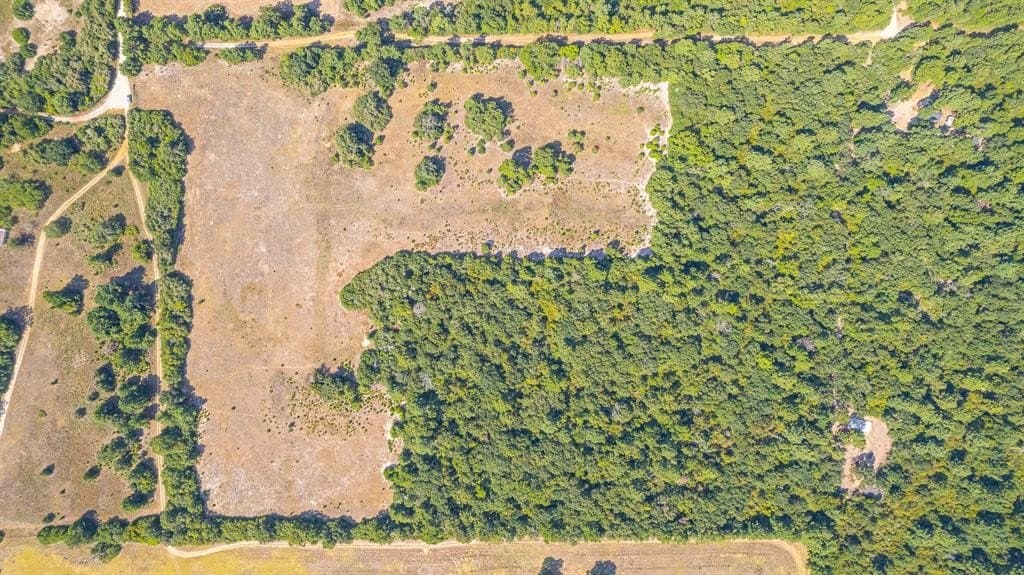 26.22 acres in Leon County - photo 16