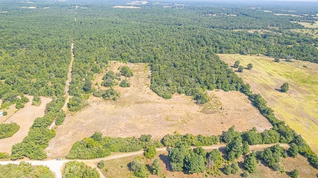 26.22 acres in Leon County - photo 8