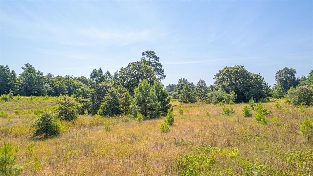 26.22 acres in Leon County - photo 12