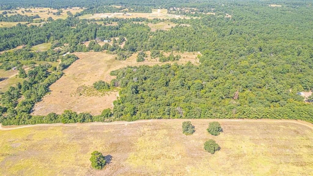 26.22 acres in Leon County - photo 6