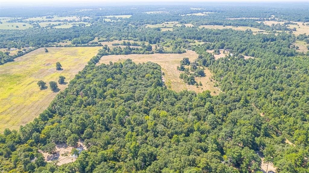 26.22 acres in Leon County - photo 9
