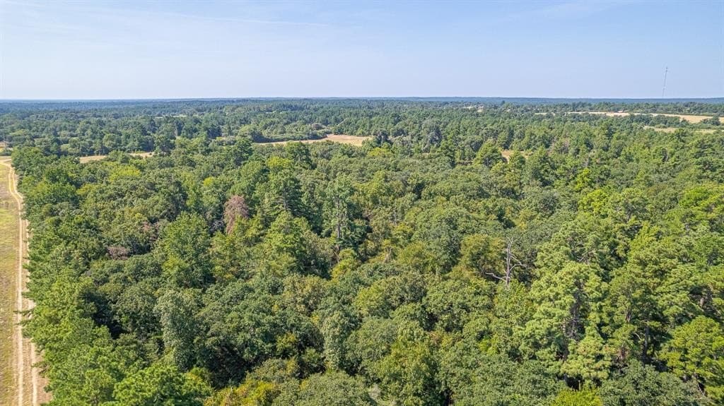 26.22 acres in Leon County - photo 10