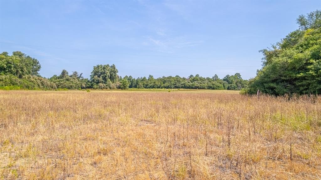 26.22 acres in Leon County - photo 13