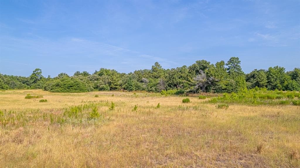 26.22 acres in Leon County - photo 15