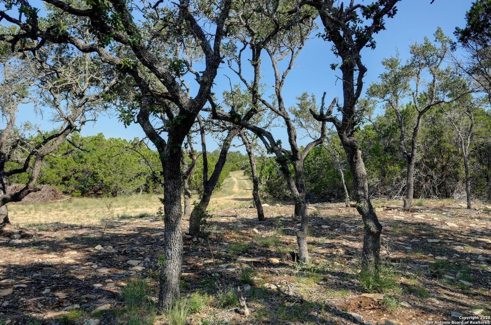 11.73 acres in Comal County - photo 6