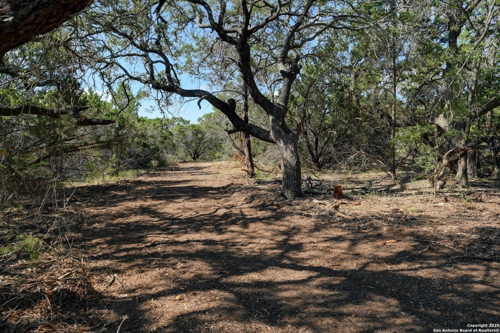 11.73 acres in Comal County - photo 10