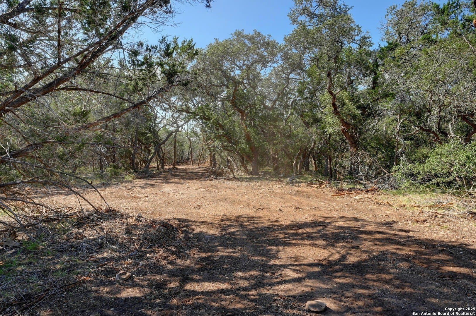 11.73 acres in Comal County - photo 12