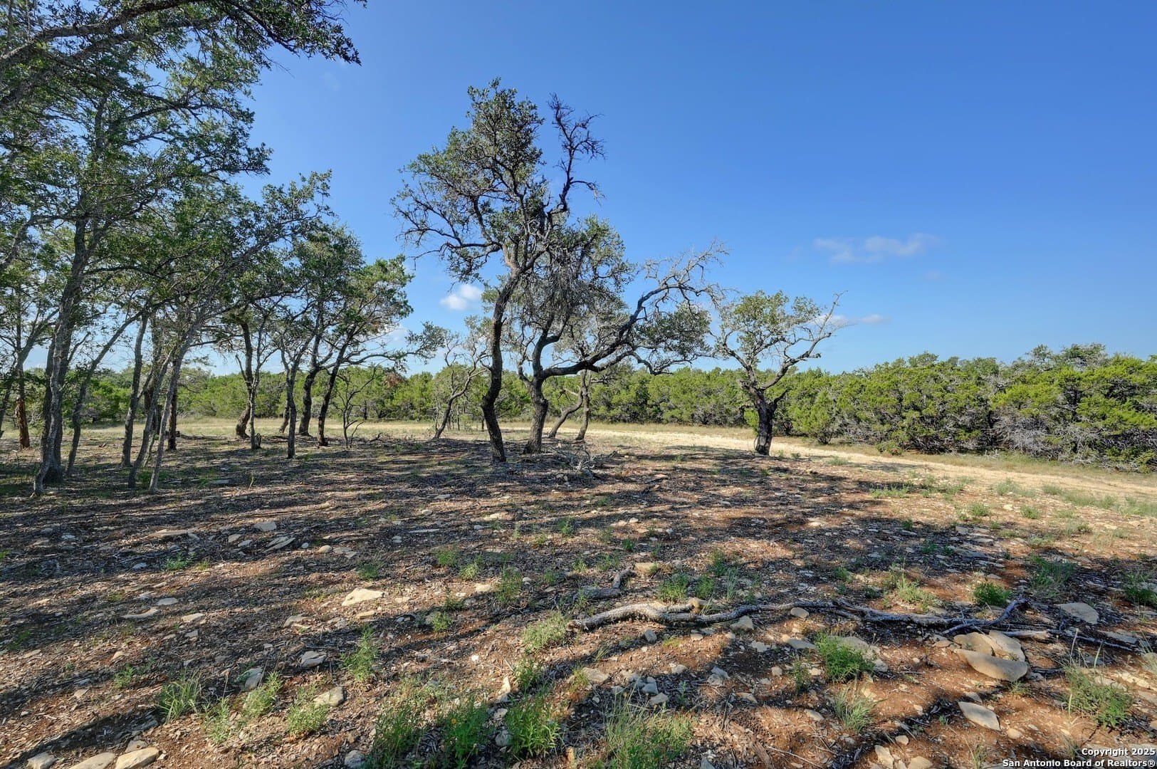 11.73 acres in Comal County - photo 5
