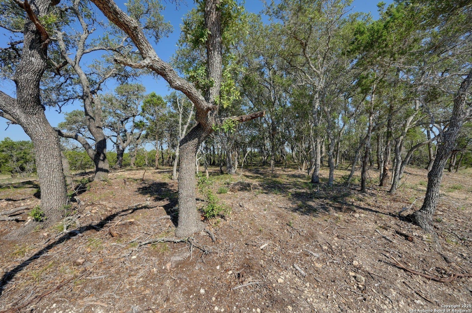 11.73 acres in Comal County - photo 11