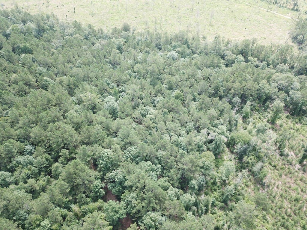 19.21 acres in Texas County - photo 12