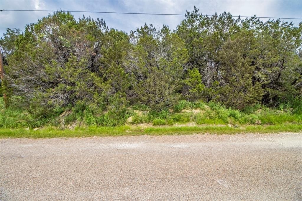 0.14 acres in Hood County - photo 3