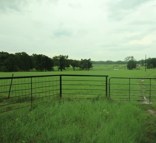 51.08 acres in Henderson County - photo 3