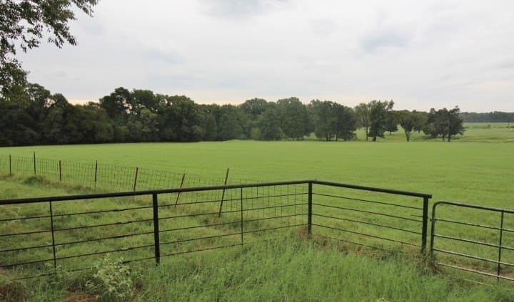 51.08 acres in Henderson County - photo 4