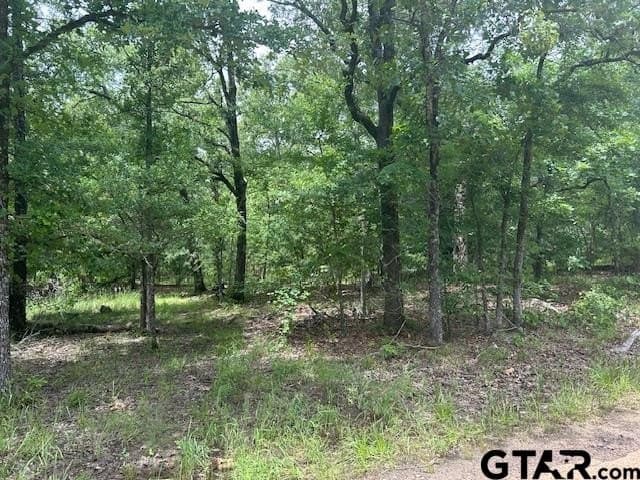 10 acres in Van Zandt County - photo 4