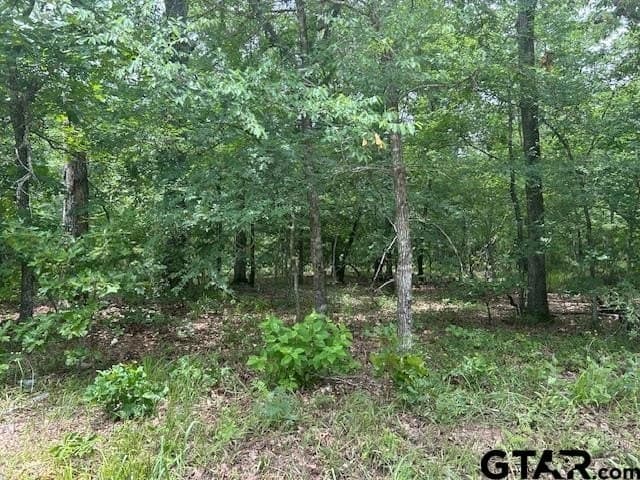 10 acres in Van Zandt County - photo 5