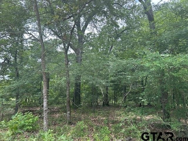 10 acres in Van Zandt County - photo 2