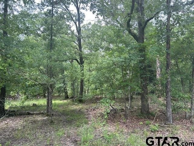 10 acres in Van Zandt County - photo 3