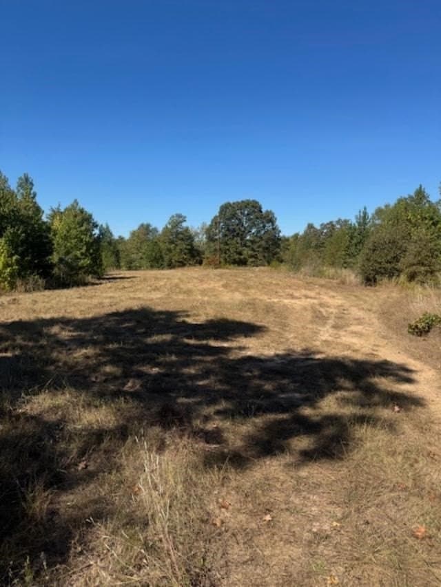 87 acres in VAN ZANDT County - photo 4