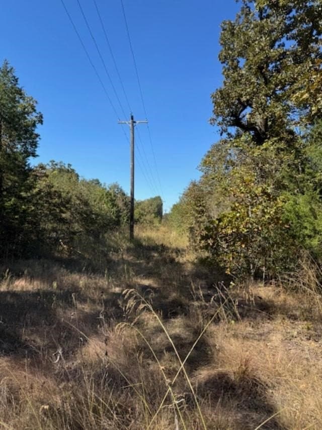 87 acres in VAN ZANDT County - photo 2