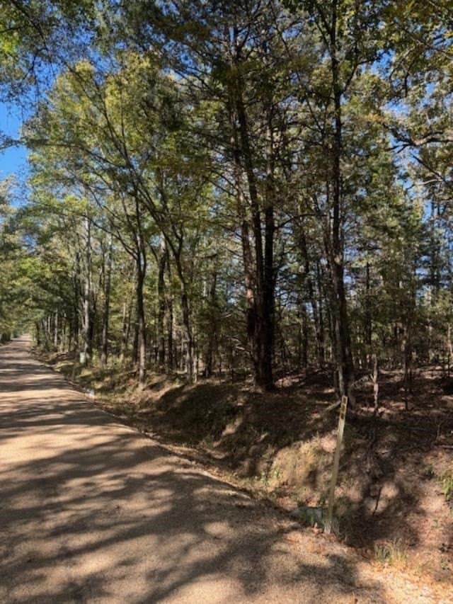 87 acres in VAN ZANDT County - photo 9