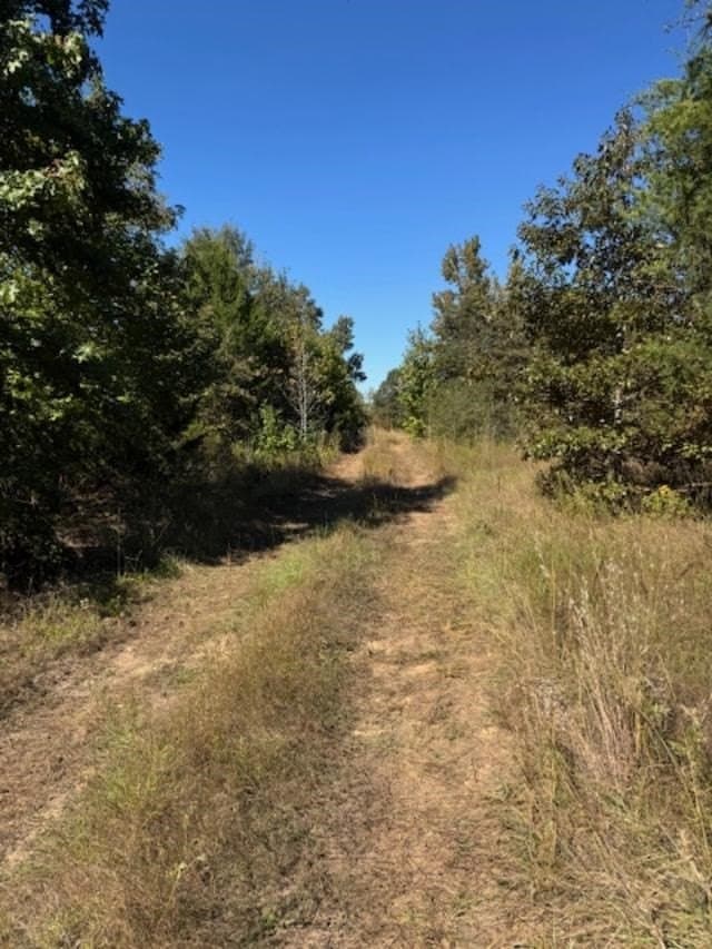 87 acres in VAN ZANDT County - photo 3