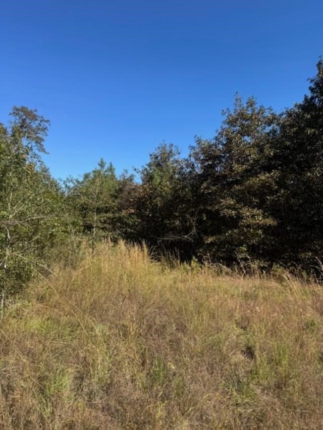 87 acres in VAN ZANDT County - photo 7
