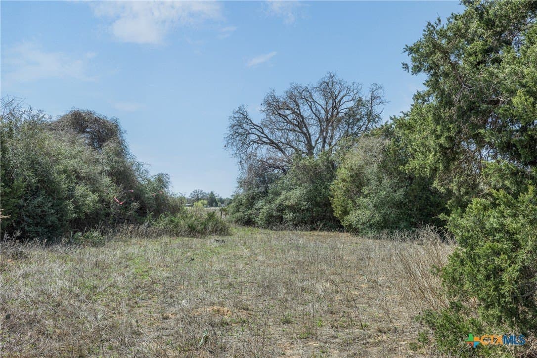 2.83 acres in Bastrop County - photo 20