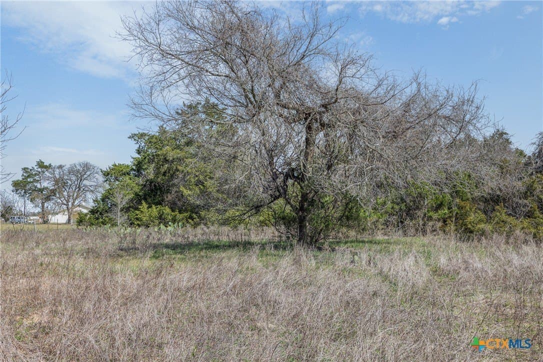 2.83 acres in Bastrop County - photo 17