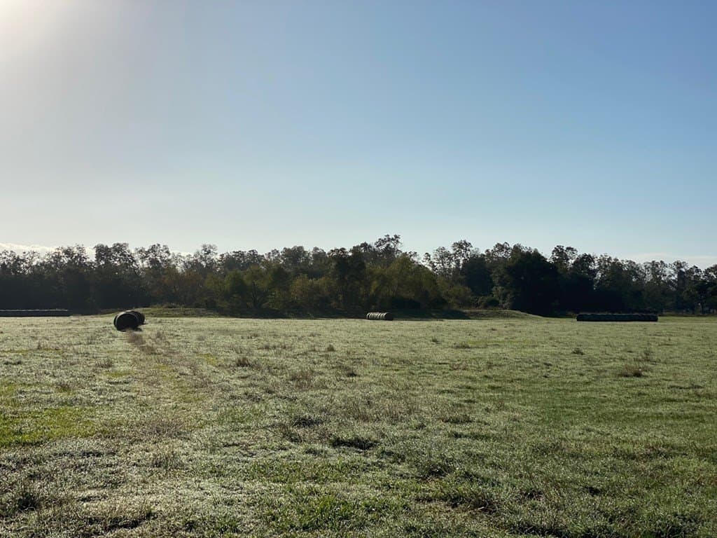 18 acres in Texas County - photo 4