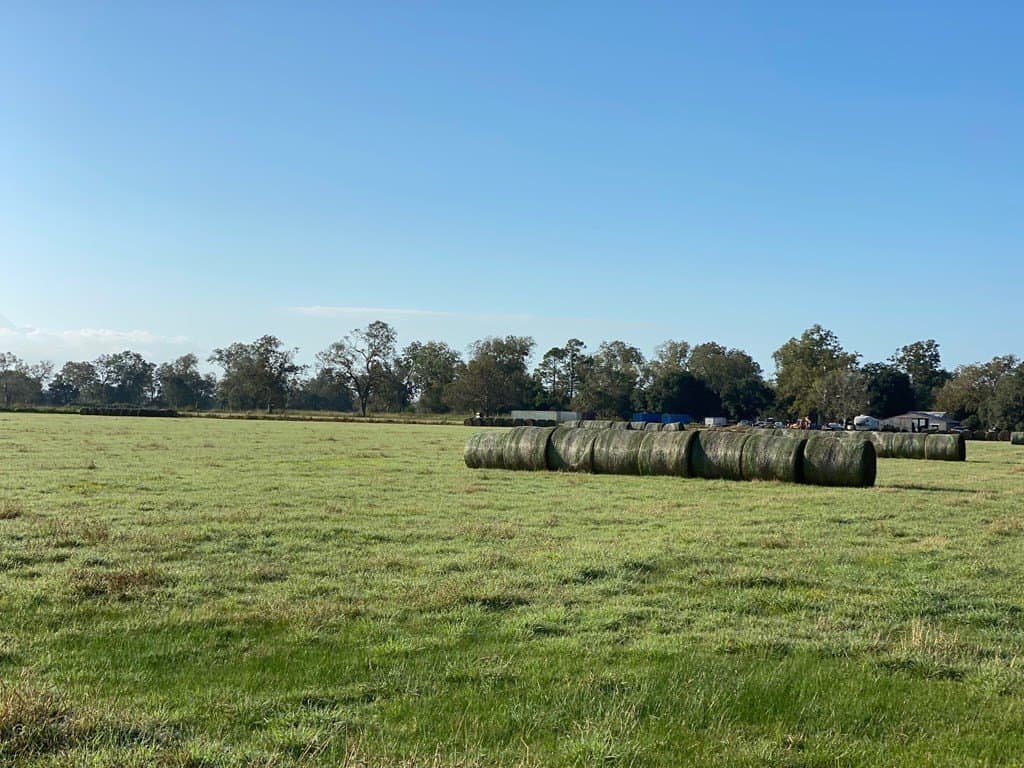 18 acres in Texas County - photo 5