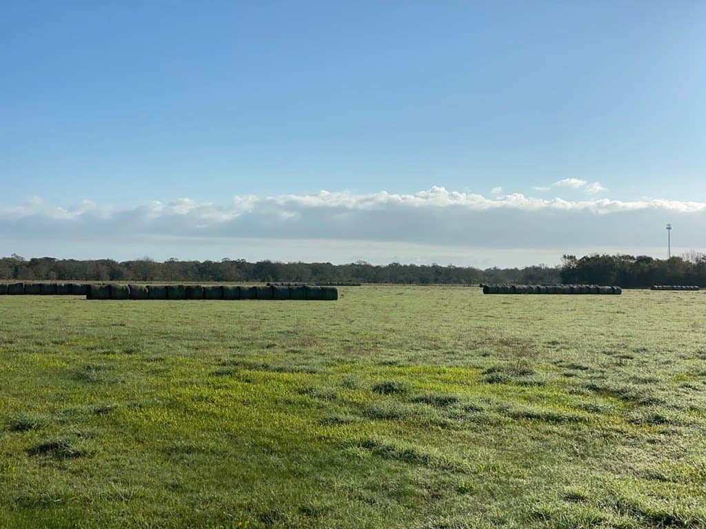 18 acres in Texas County - photo 6